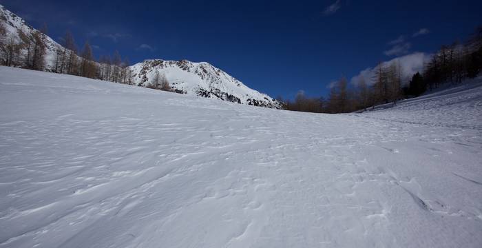 Neve - © Andrea Persico