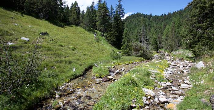 Torrente a Piansegno © A. Persico