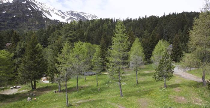 Notre camping alpin - © Andrea Persico