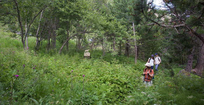 Visita al Naturetum