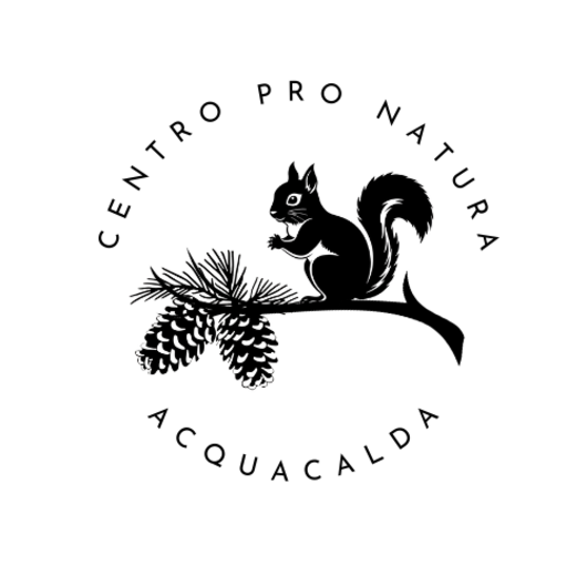 Logo gestine Del Curto