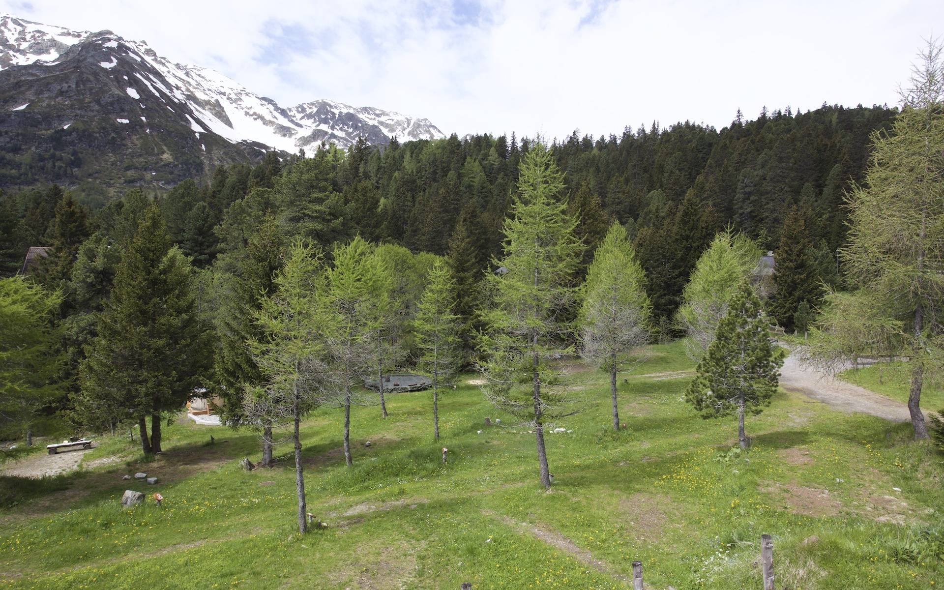 Alpine camping - © Andrea Persico
