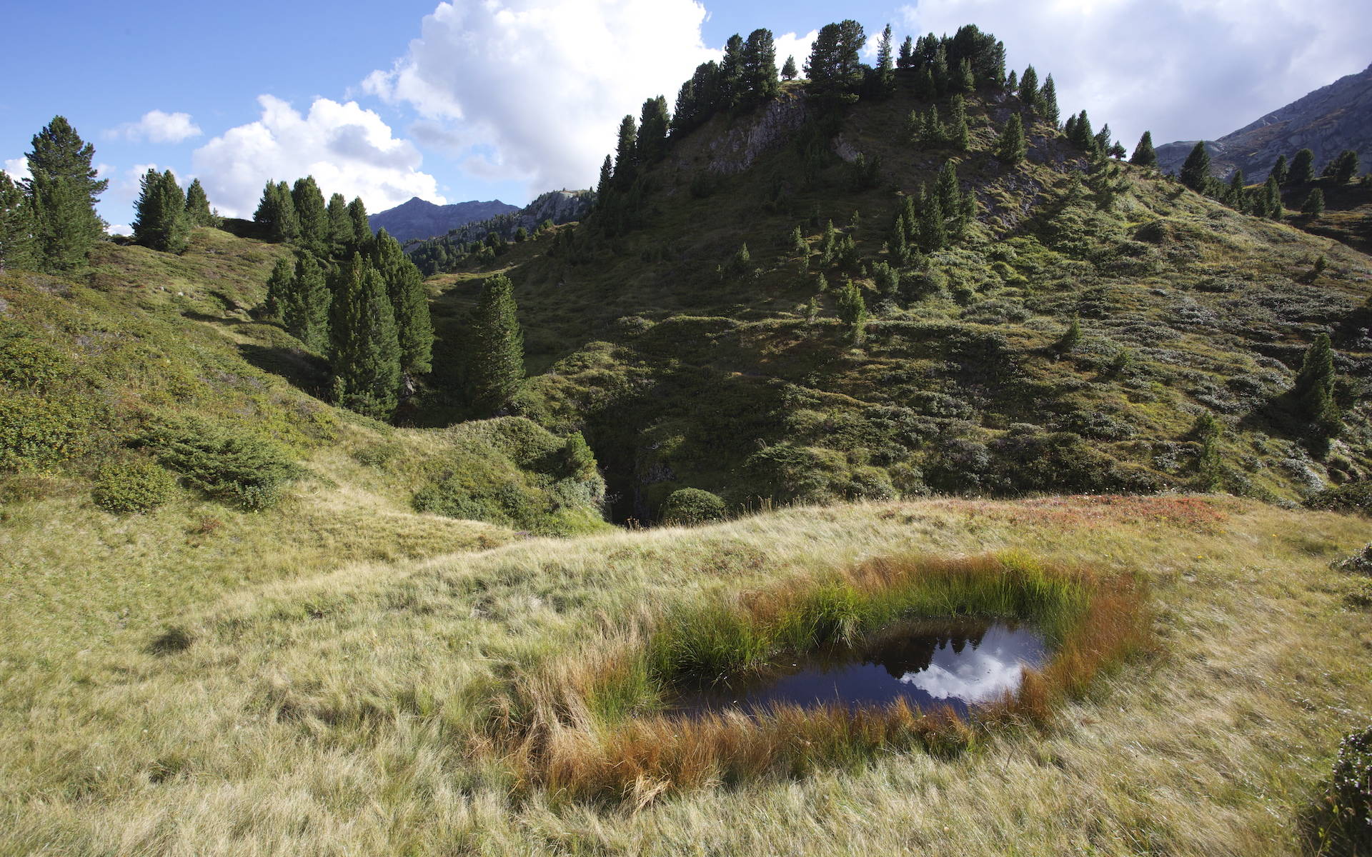 Doline al Lucomagno © Andrea Persico