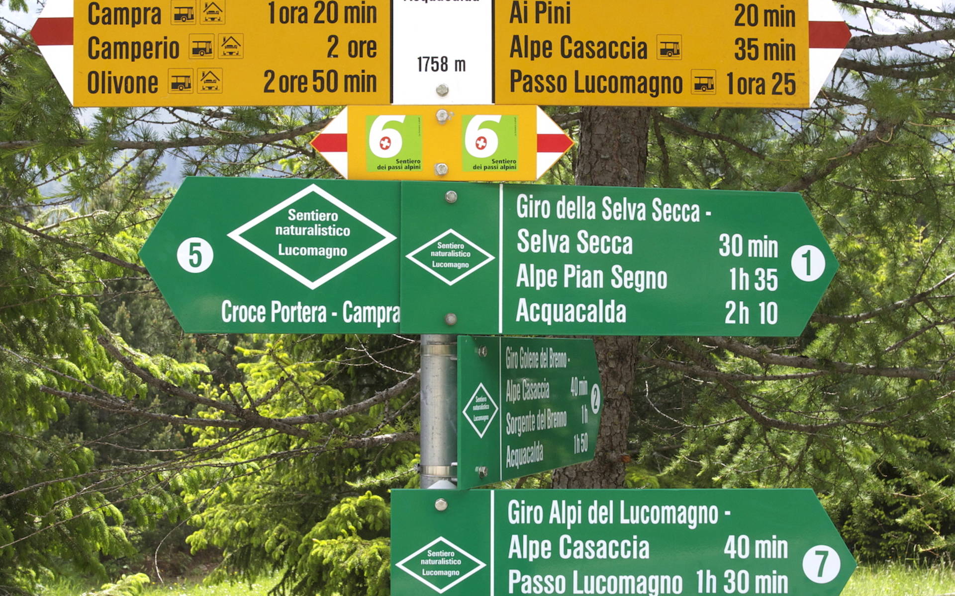 Cartelli sentieri pressso l'InfoPoint Centro Pro Natura Lucomagno © Andrea Persico