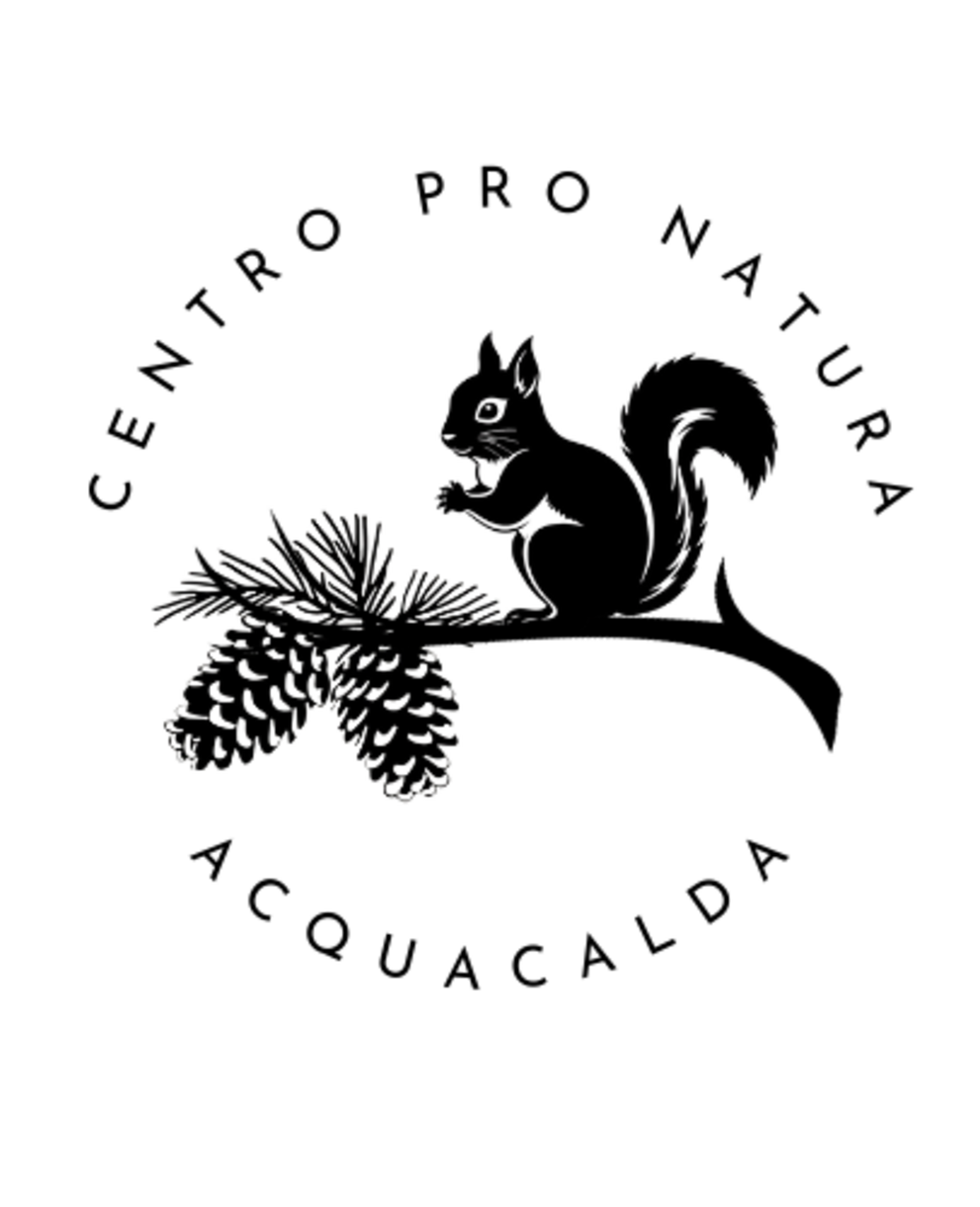 Logo gestine Del Curto